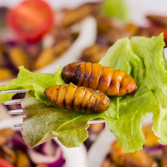 Insekten essen